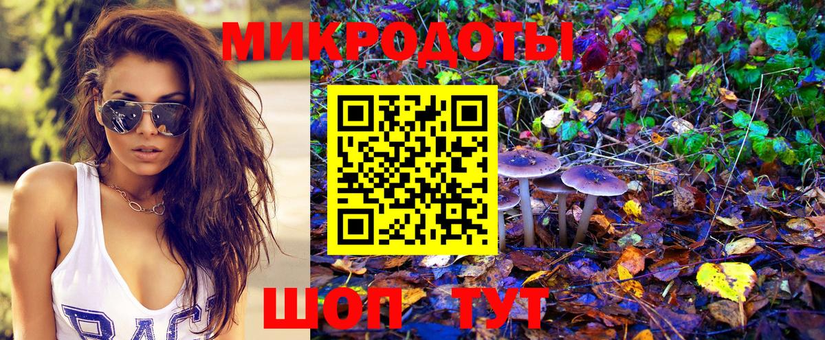 Ступино  дарнет шоп  Вход с VPN  Галлюциногенные грибы Psilocybe 