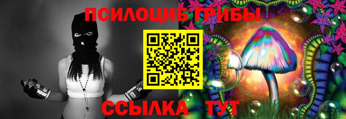 Галлюциногенные грибы Cubensis Ступино